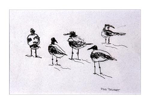 sand pipers drawing by Pam Taggart